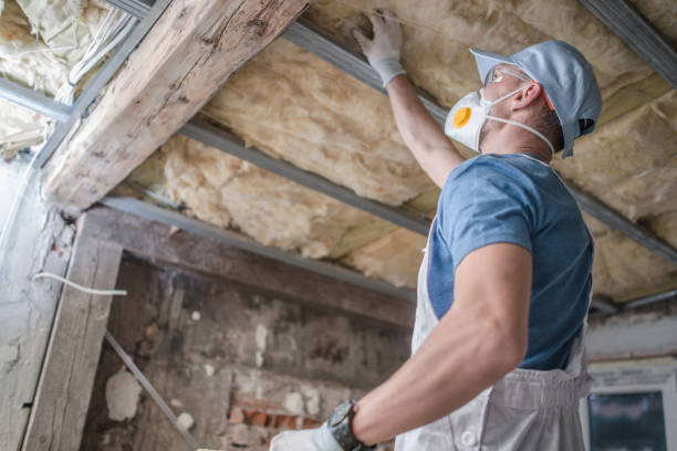Best Best Insulation Companies  in Howards Grove, WI