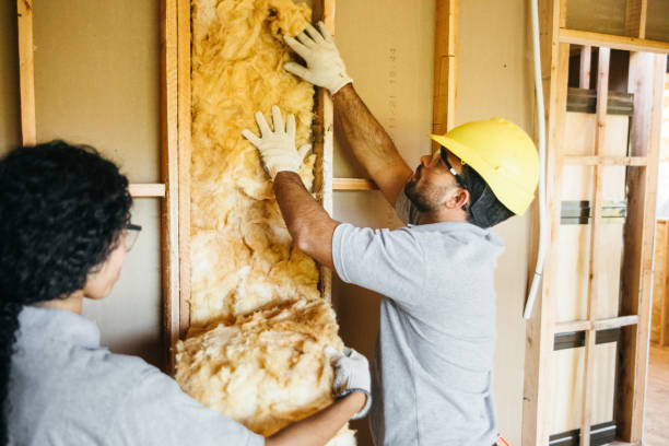 Best Attic Insulation Installation  in Howards Grove, WI