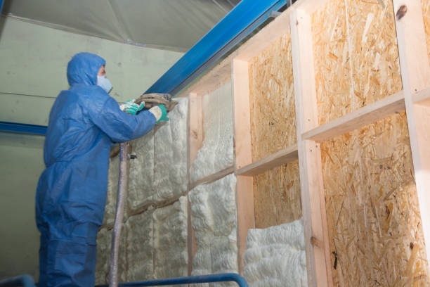 Best Insulation Replacement Services  in Howards Grove, WI