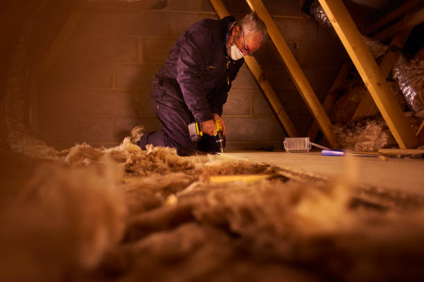 Best Insulation Replacement Services  in Howards Grove, WI
